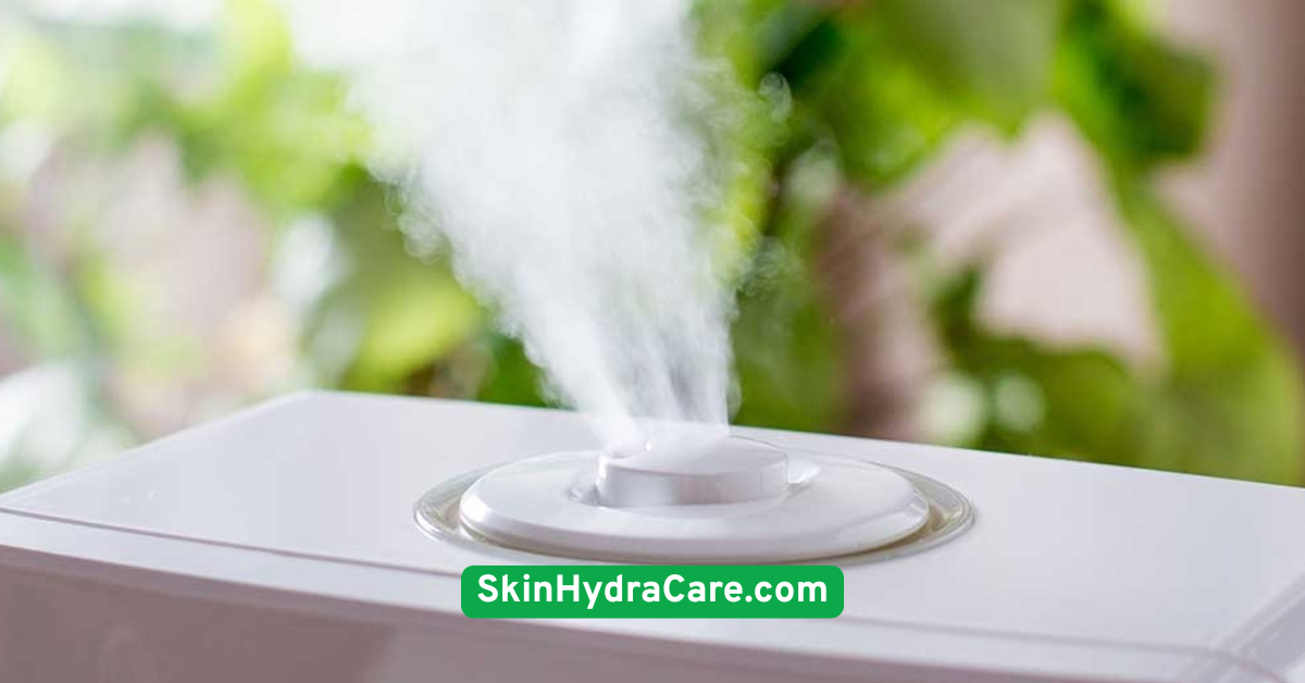 Use a Humidifier in Dry Climates